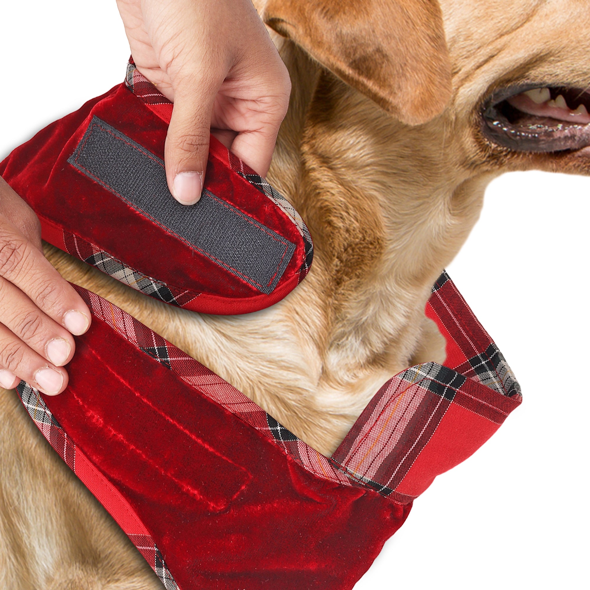 Red Christmas Dog jacket Embroided Velvet Dog jacket with snowflakes