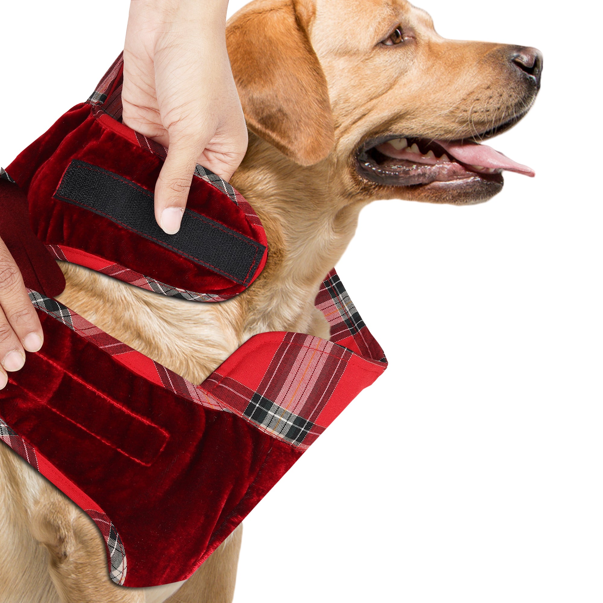 Red Christmas Dog jacket Embroided Velvet Dog jacket with Santa Reindeer Carriage